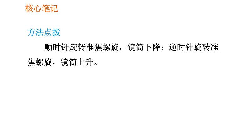 人教版七年级上册生物习题课件 第二单元 2.1.1 练习使用显微镜第7页