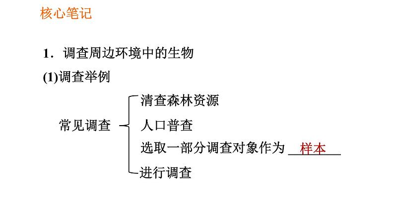 人教版七年级上册生物习题课件 第一单元 1.1.2 调查周边环境中的生物02