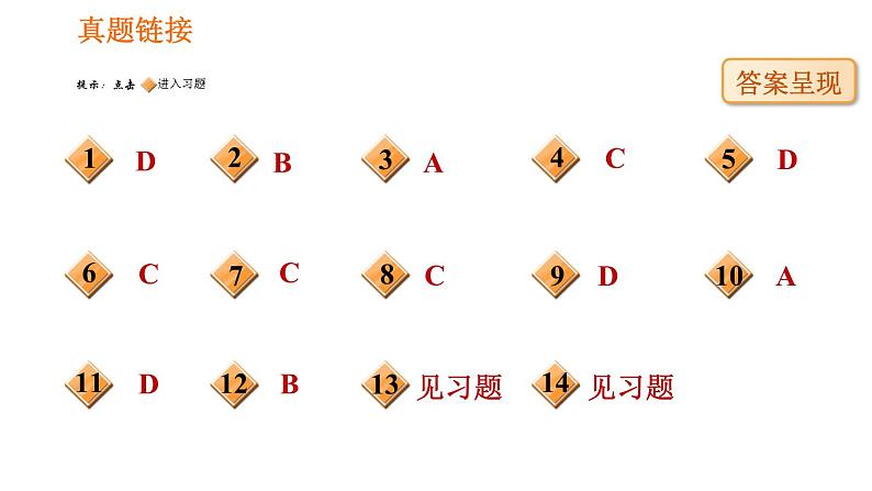 人教版七年级上册生物习题课件 第一单元 1.1.2 调查周边环境中的生物08