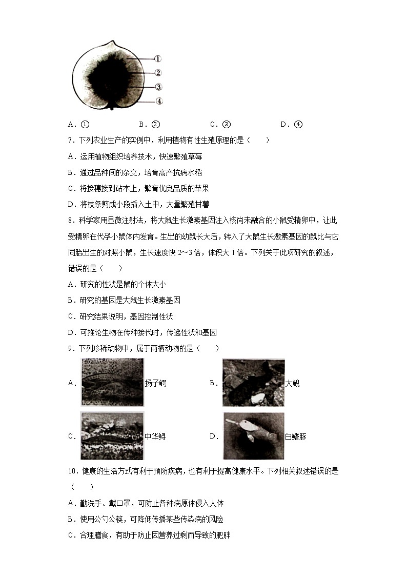 2021年安徽省中考生物试题真题及答案02