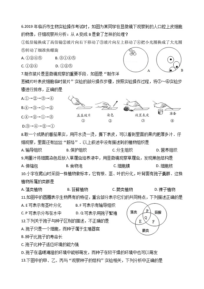 2020-2021学年山东省临沂市临沭县人教版生物七年级上学期期末考试试题（word版 含答案）02