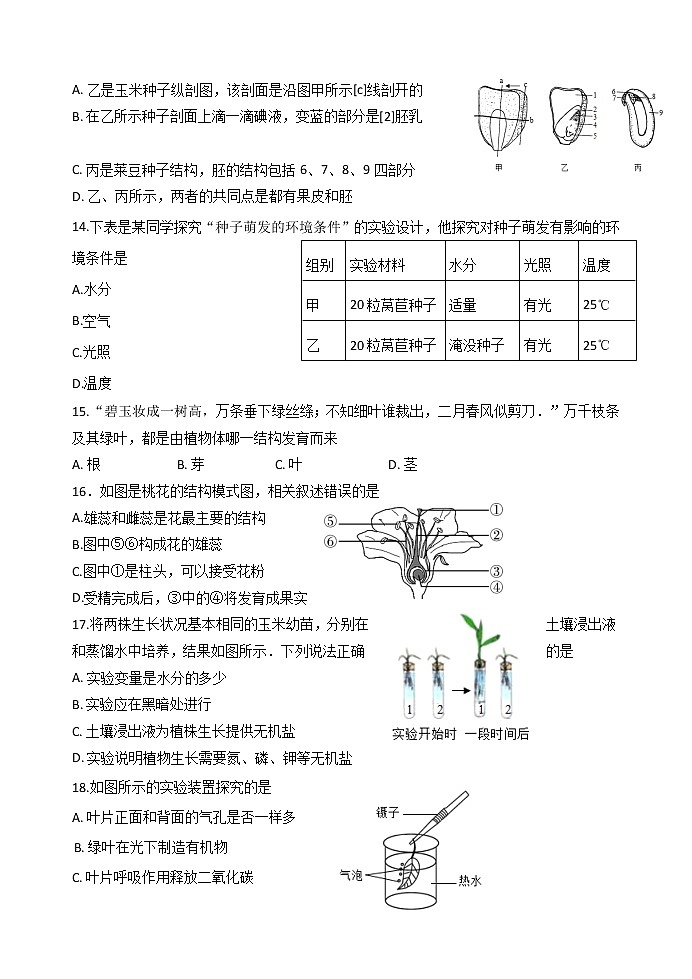2020-2021学年山东省临沂市临沭县人教版生物七年级上学期期末考试试题（word版 含答案）03