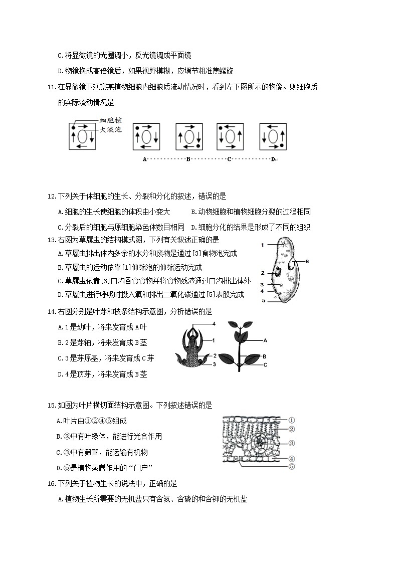 山东省青岛市崂山区2020-2021学年七年级上学期期末考试生物试题（word版 含答案）03