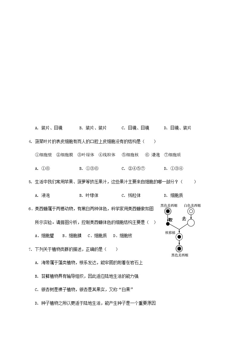 2020-2021学年山东省济南市平阴县人教版生物七年级上学期期末考试试题（word版 含答案）02