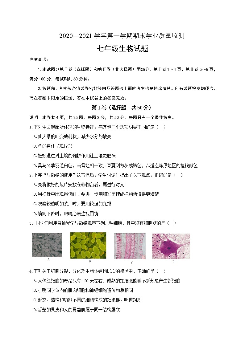 2020-2021学年山东省潍坊安丘市人教版生物七年级上学期期末考试试题（word版 含答案）01