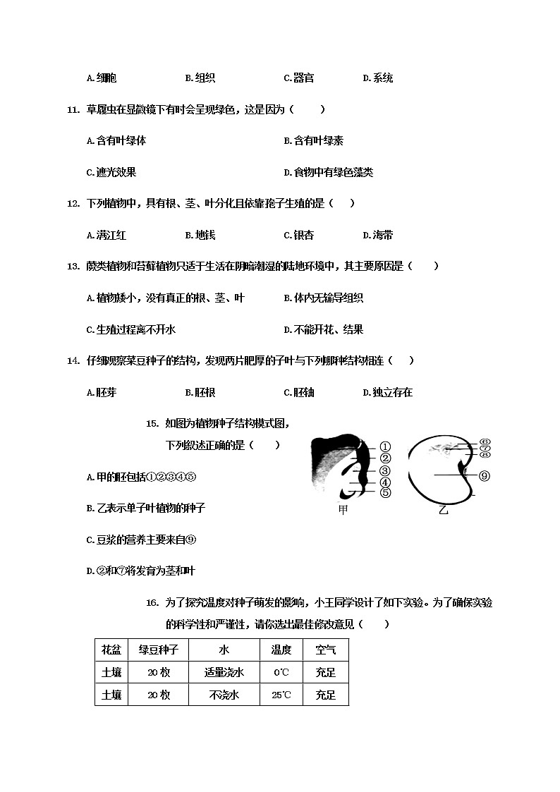 山东省聊城临清市2020-2021学年七年级上学期期末考试生物试题（word版 含答案）03