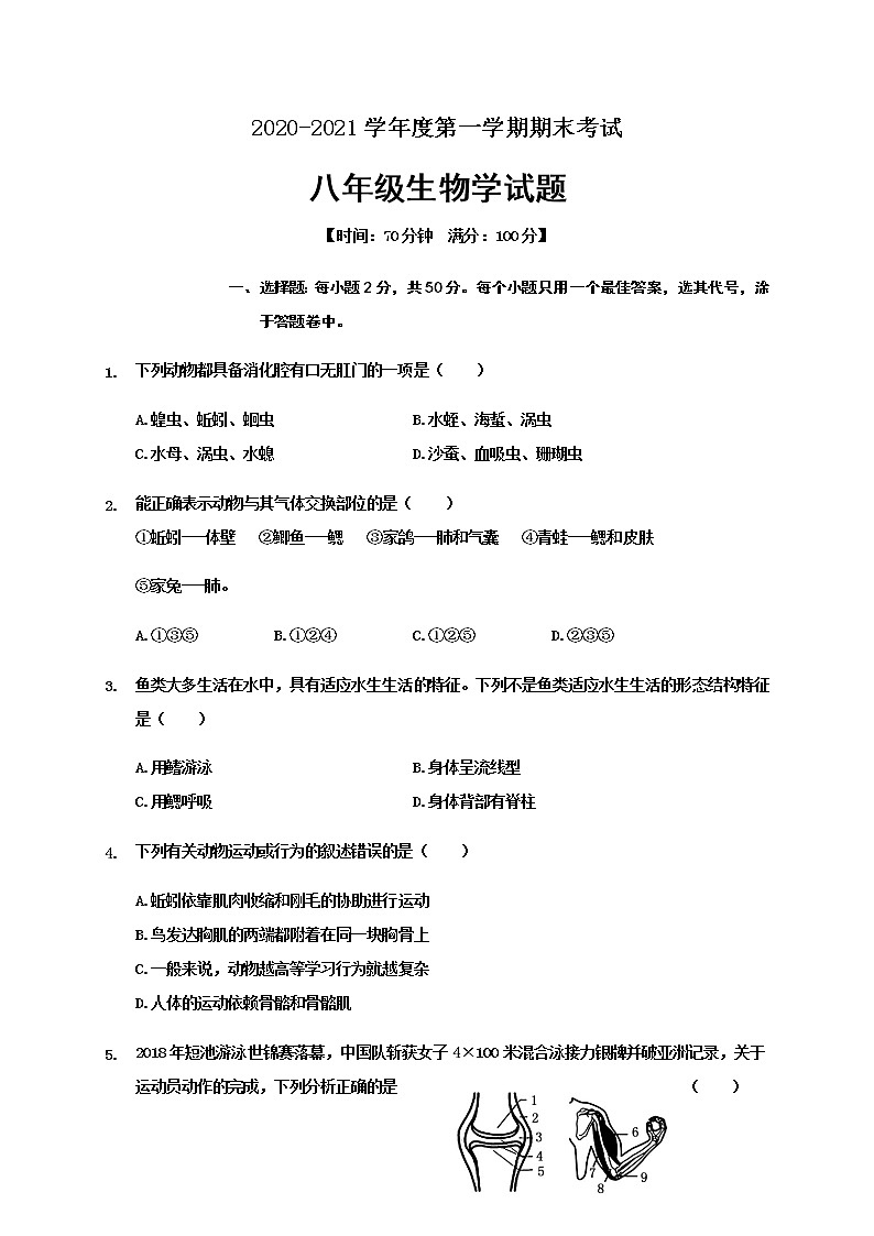 山东省聊城临清市2020-2021学年八年级上学期期末考试生物试题（word版 含答案）01