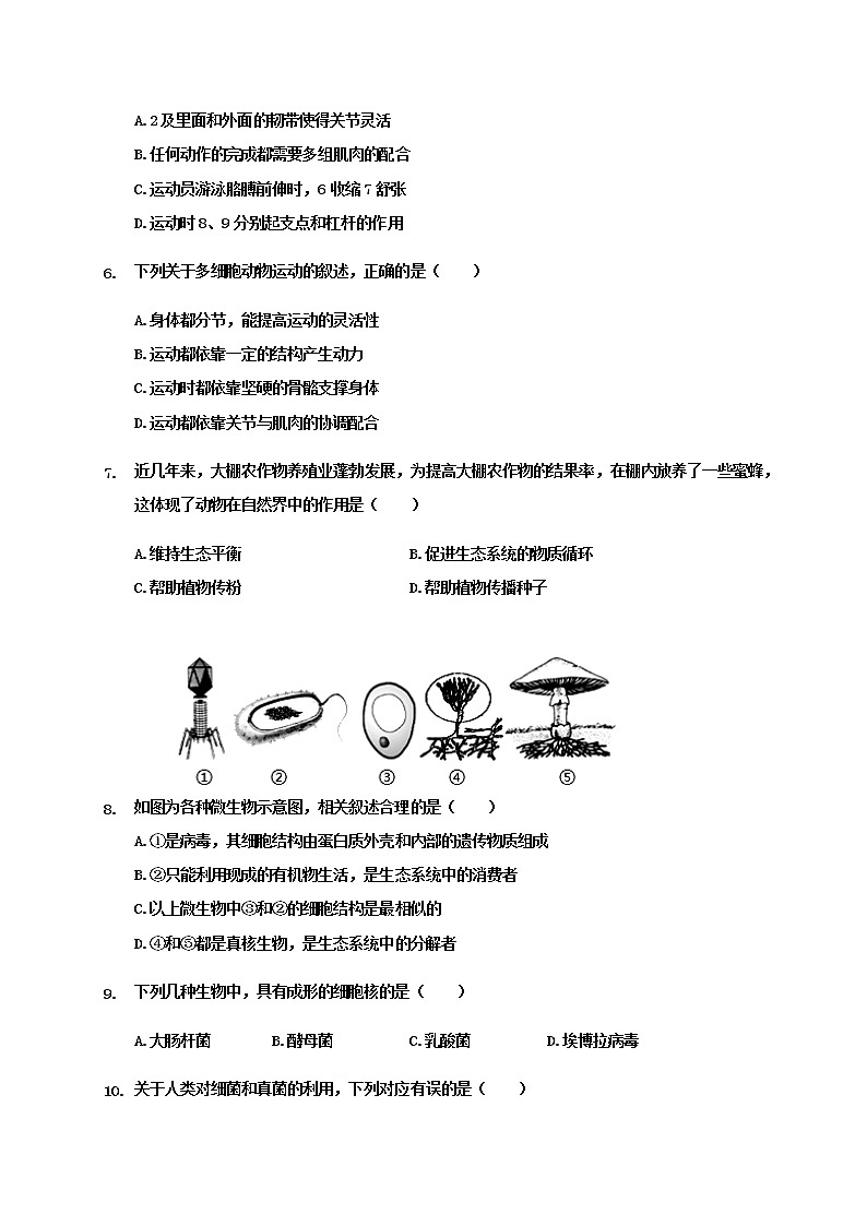 山东省聊城临清市2020-2021学年八年级上学期期末考试生物试题（word版 含答案）02