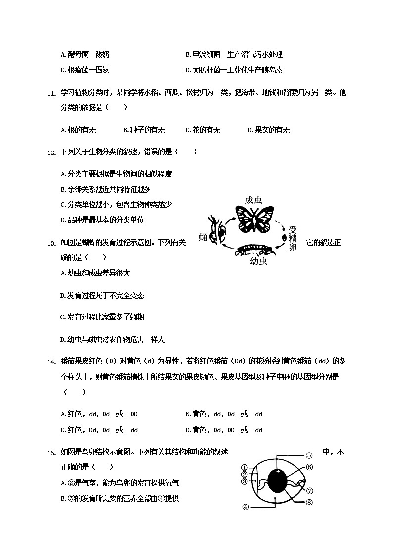 山东省聊城临清市2020-2021学年八年级上学期期末考试生物试题（word版 含答案）03