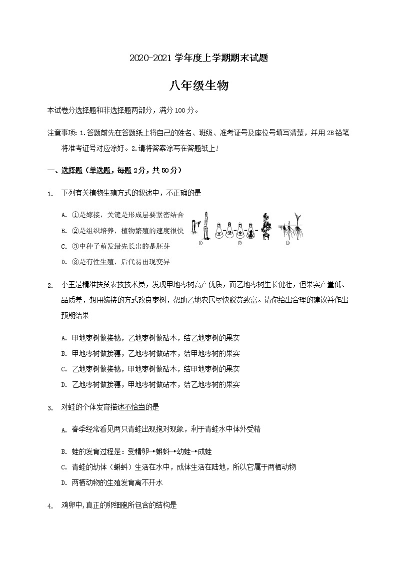 山东省临沂市兰陵县2020-2021学年八年级上学期期末考试生物试题（word版 含答案）01