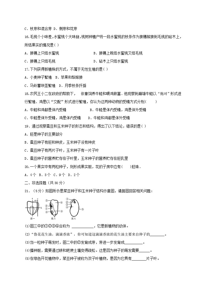 山东省菏泽市郓城县2020-2021学年八年级上学期期末考试生物试题（word版 含答案）03