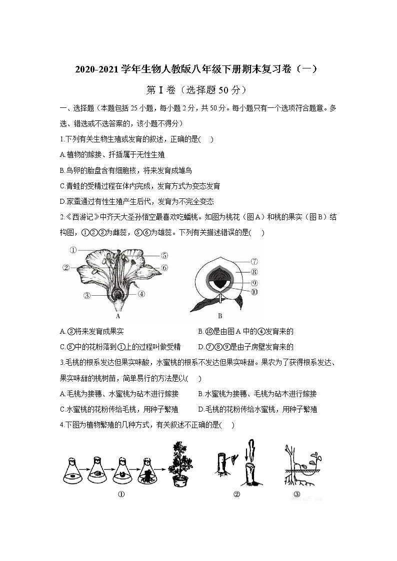 2020-2021学年人教版生物八年级下册期末复习卷（一）（word版 含答案）01