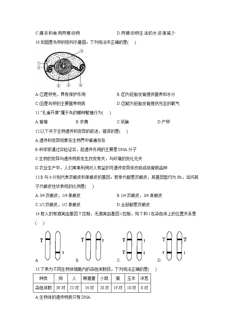 2020-2021学年人教版生物八年级下册期末复习卷（一）（word版 含答案）03
