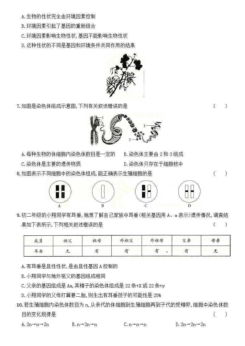 2020－2021学年度人教版八年级生物下册期末综合测评卷（详尽全解析）02