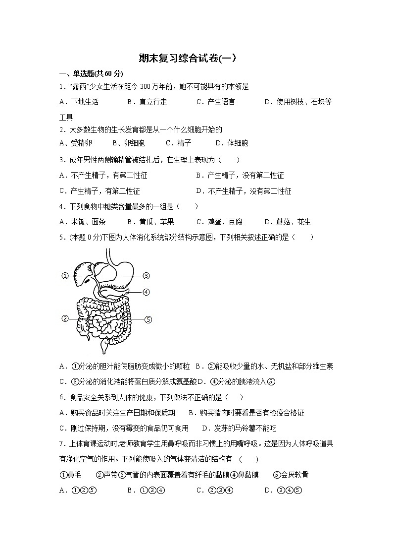 2020--2021学年人教版生物七年级下册 期末复习综合试卷一（word版 含答案）01