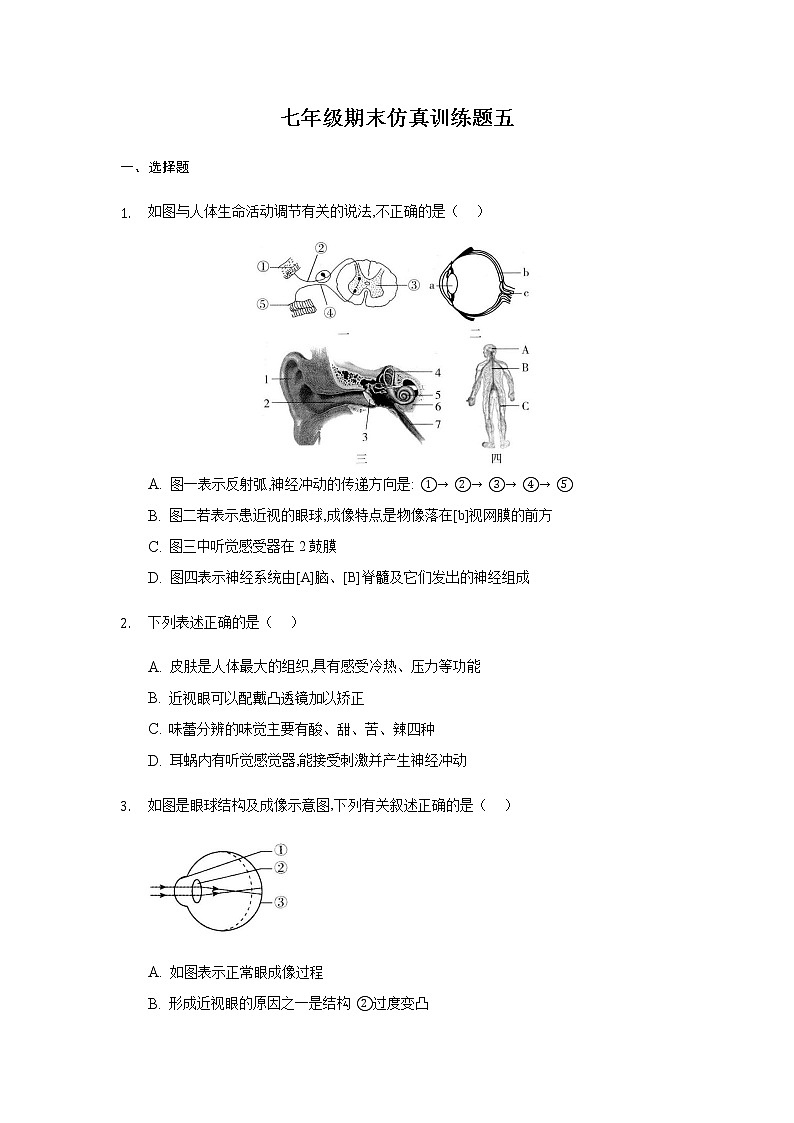 山东省新泰市2020---2021学年七年级下学期期末生物仿真训练题五（word版 含答案）01