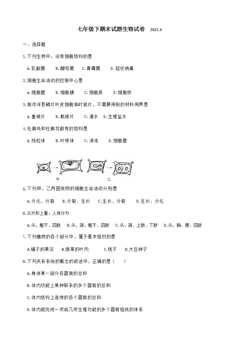 江苏省扬州市江都区2020-2021学年七年级下学期期末生物试题（word版 含答案）01