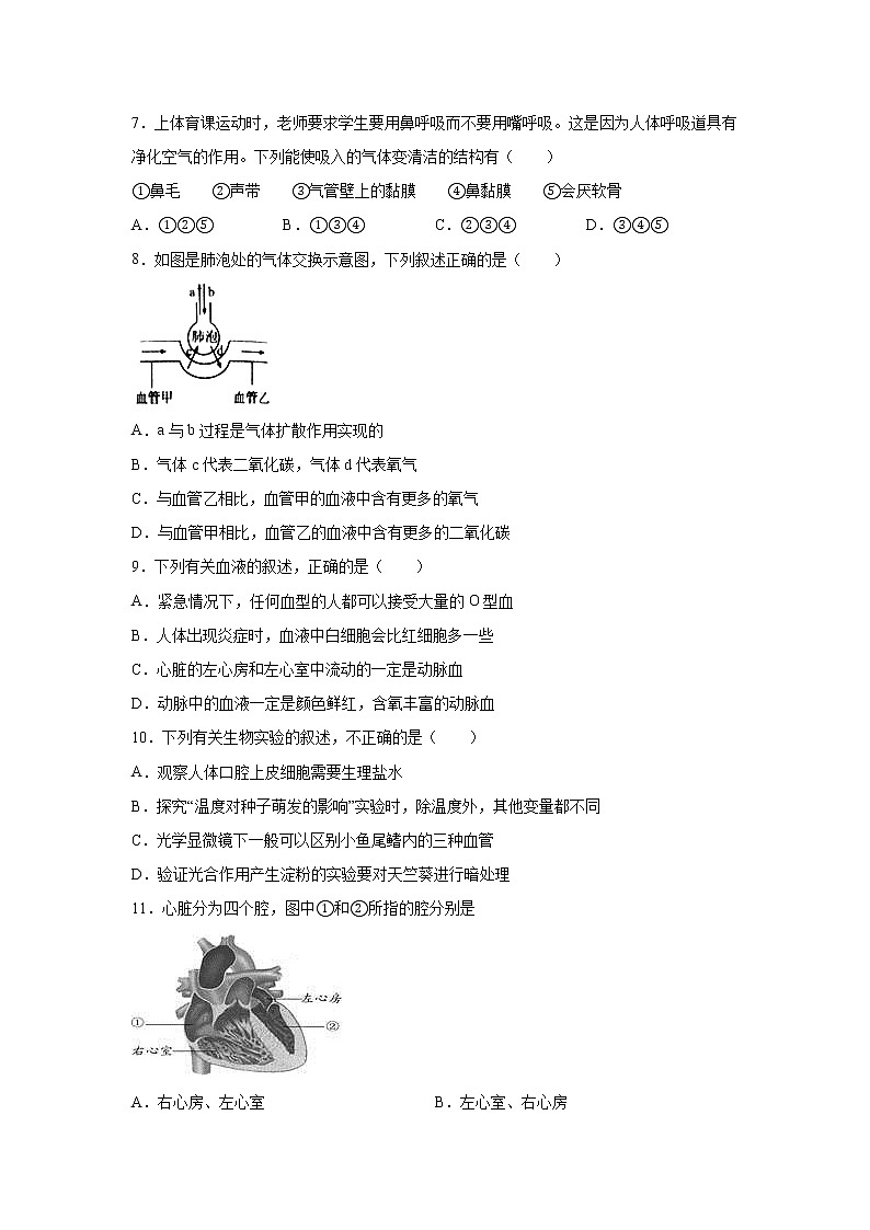 2020--2021学年人教版生物七年级下册 期末复习综合试卷二（word版 含答案）02