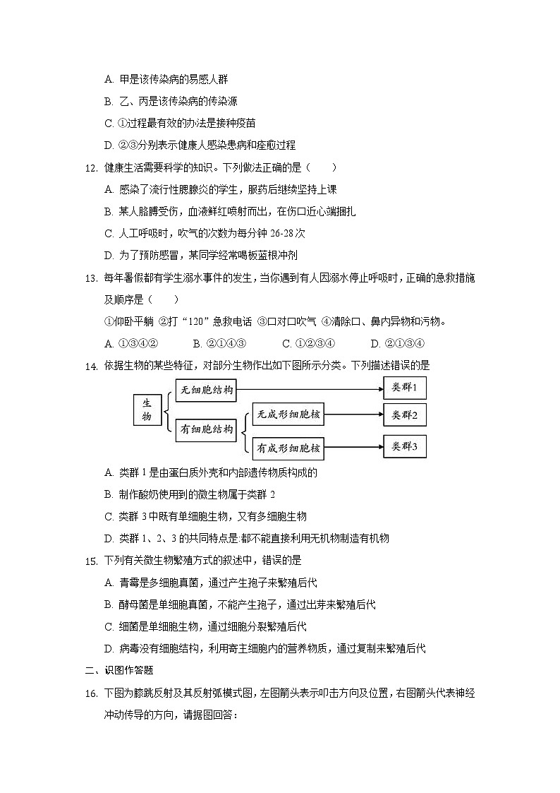 山东省新泰市2020--2021学年七年级下学期生物期末仿真训练二（word版 含答案）03