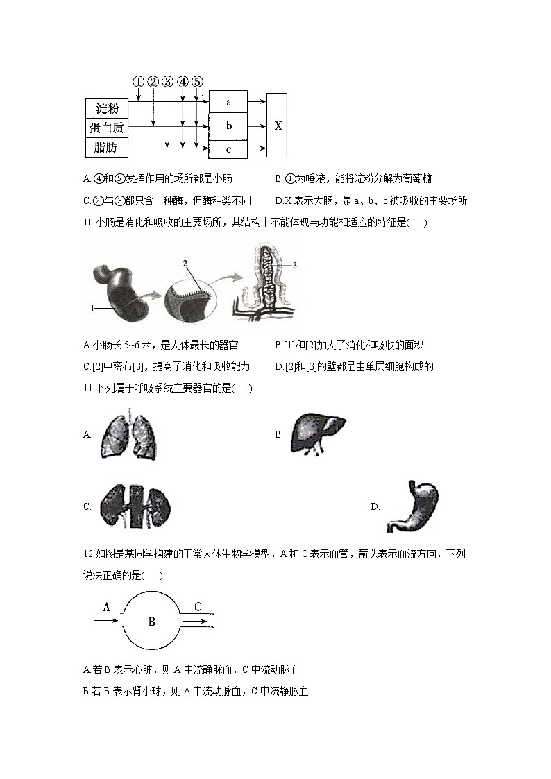 2020-2021学年人教版生物七年级下册期末复习卷（一）（word版 含答案）03