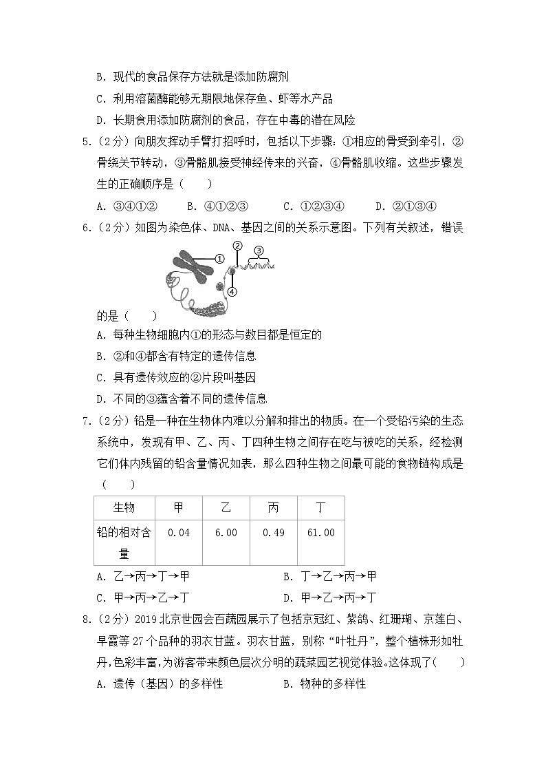 期末水平测试卷6 2020-2021学年八年级下学期生物期末水平考试试题（word版 含答案）02