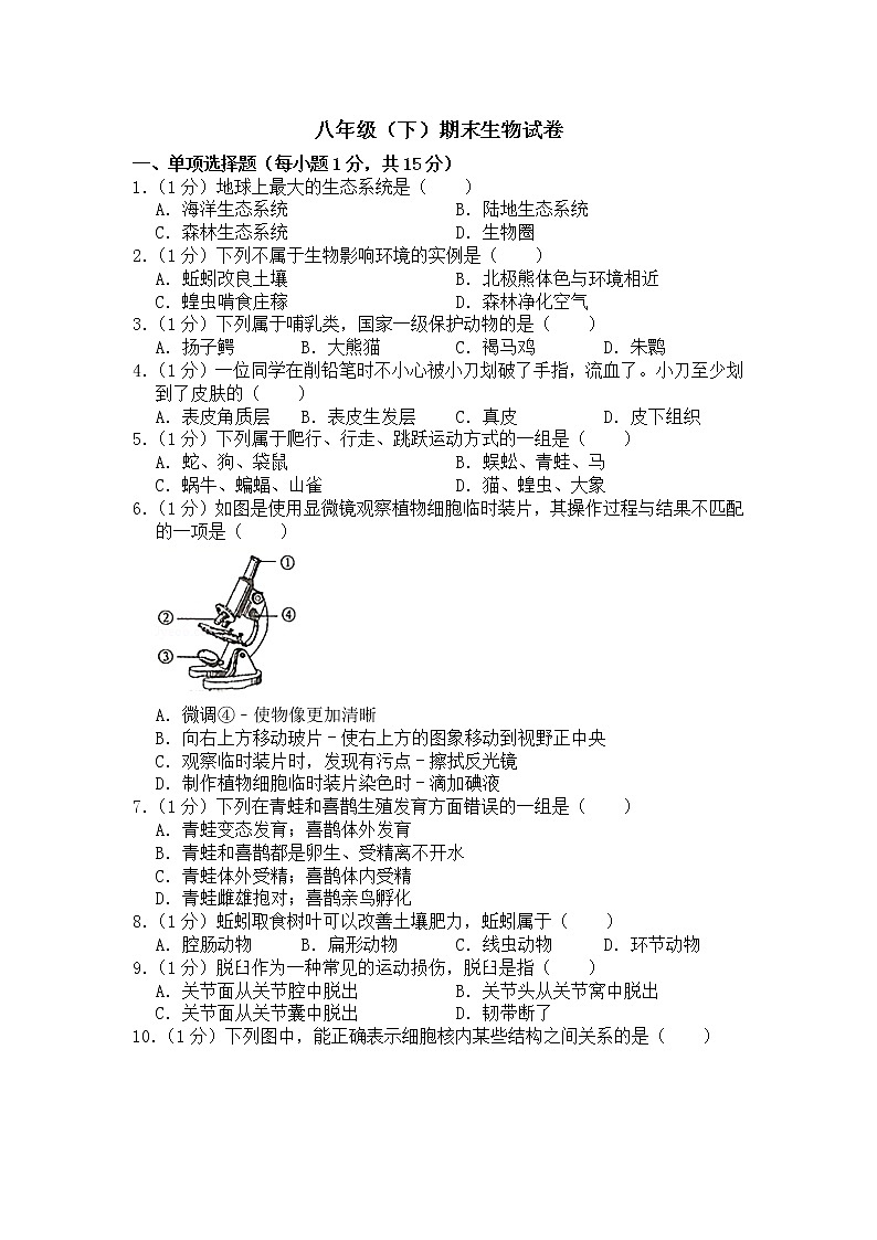 期末水平测试卷5 2020-2021学年八年级下学期生物期末水平考试试题（word版 含答案）01