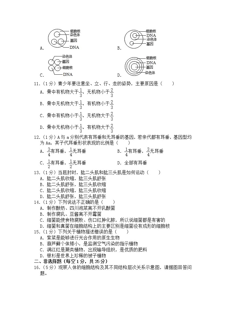 期末水平测试卷5 2020-2021学年八年级下学期生物期末水平考试试题（word版 含答案）02