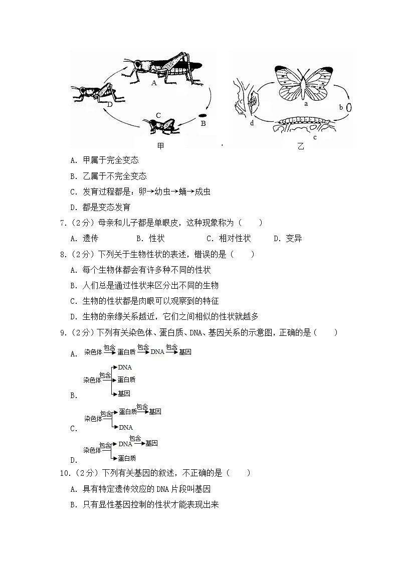 期末水平测试卷7 2020-2021学年八年级下学期生物期末水平考试试题（word版 含答案）02
