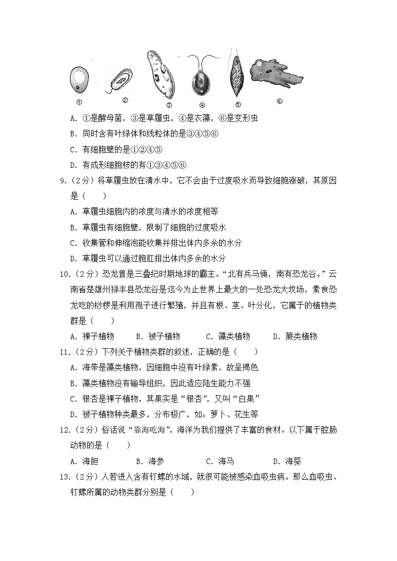 期末水平测试卷10 2020-2021学年八年级下学期生物期末水平考试试题（word版 含答案）03