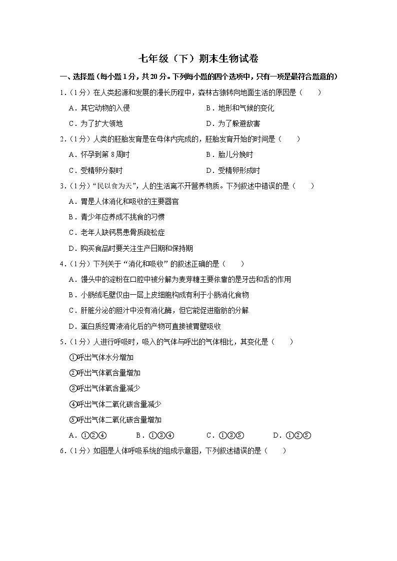 期末水平测试卷6 2020-2021学年七年级下学期生物期末考试试题（word版 含答案）01