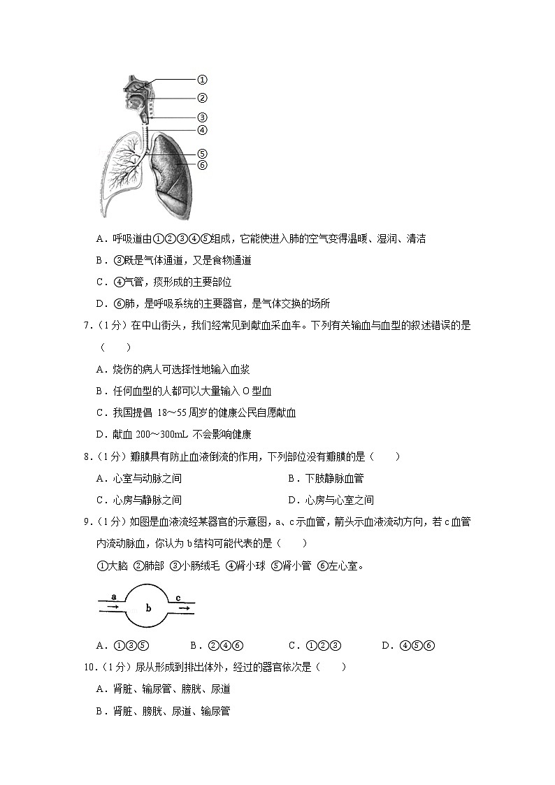期末水平测试卷6 2020-2021学年七年级下学期生物期末考试试题（word版 含答案）02