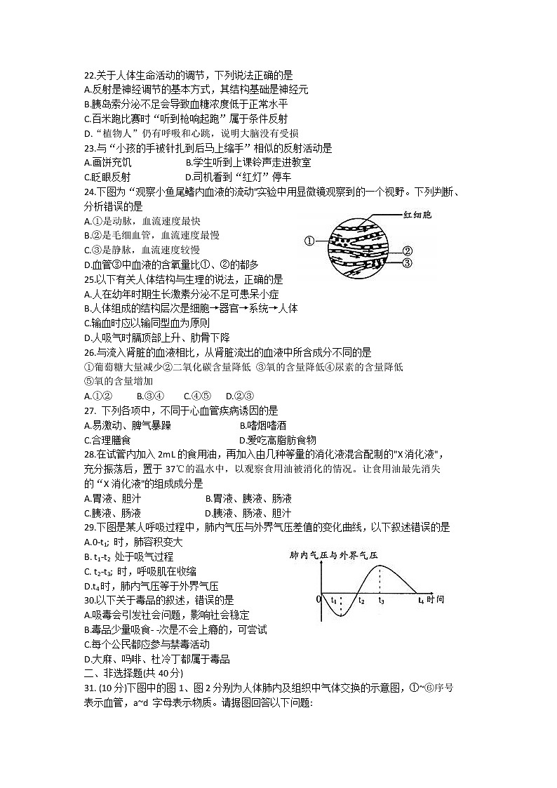广东省韶关市2020-2021学年七年级下学期期末质量监测生物试题（word版 含答案）03