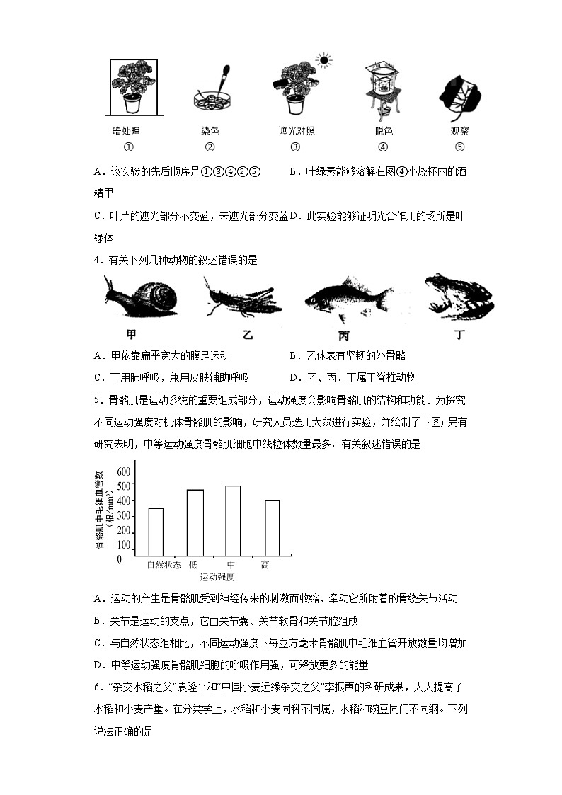 山东省菏泽市2021年中考生物试题真题（word版 含答案）02