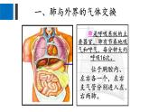 人教版生物七年级下册4.3.2发生在肺内的气体交换 课件PPT