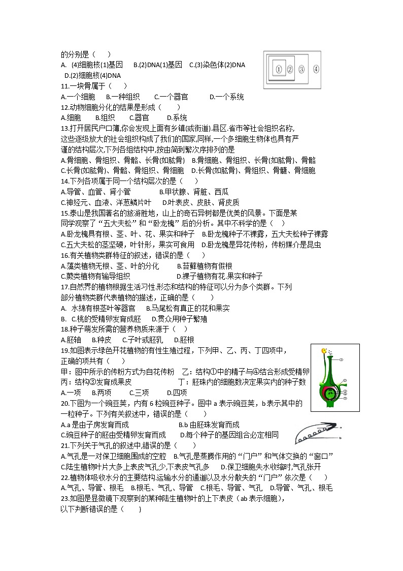 初中生物单选易错精选80道试题（含答案）02