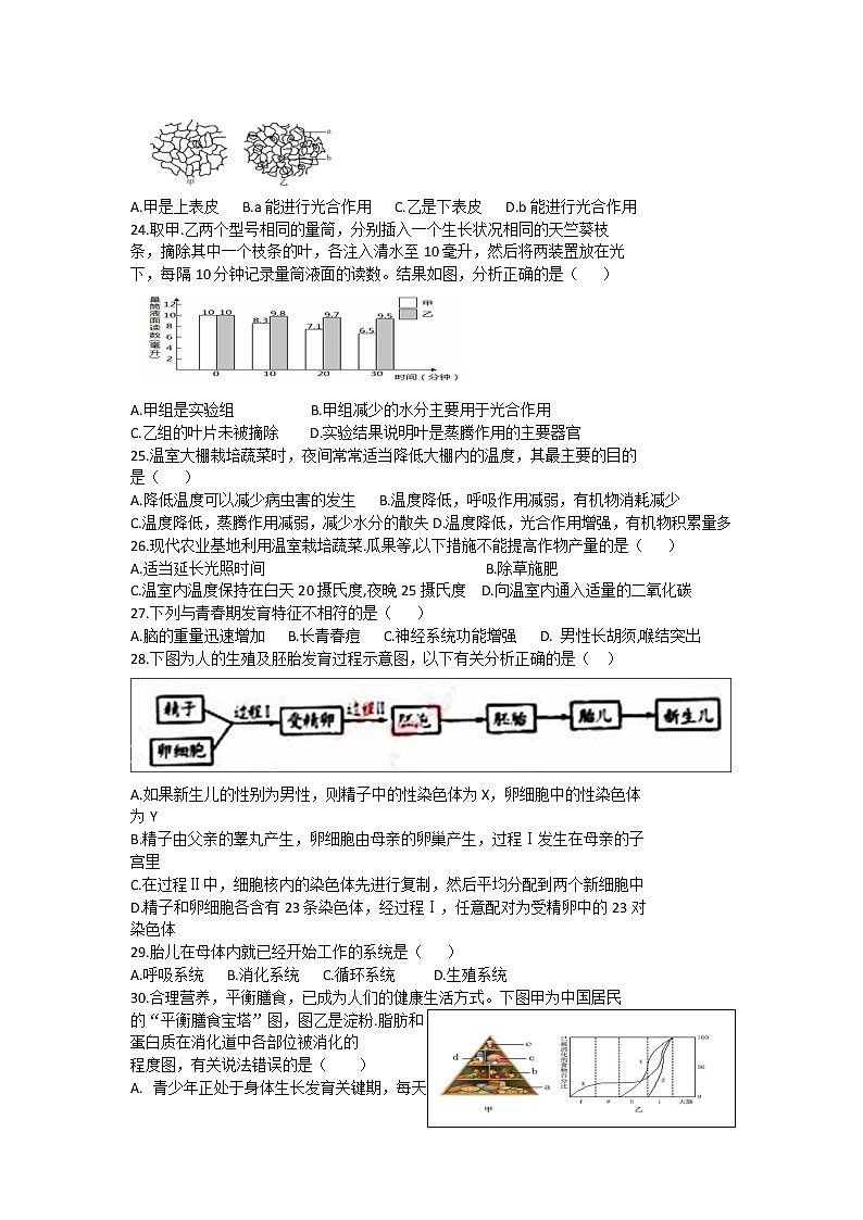 初中生物单选易错精选80道试题（含答案）03