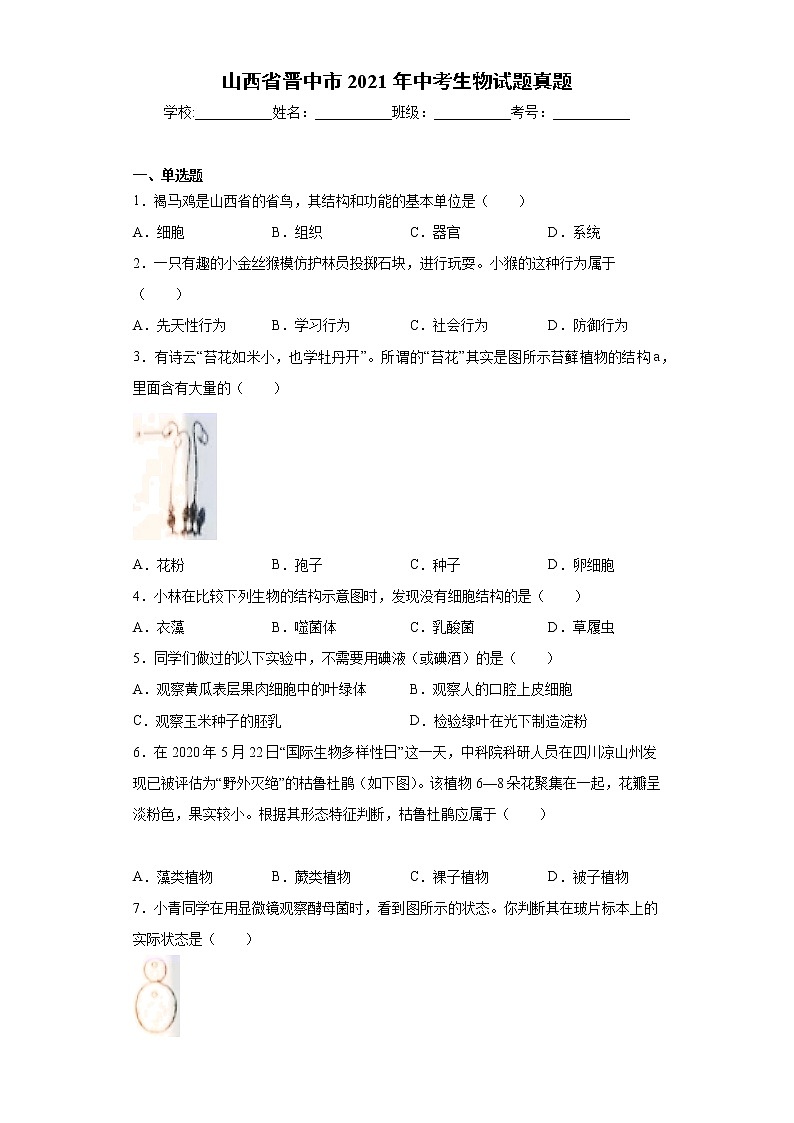 山西省晋中市2021年中考生物试题真题及答案（word版）01