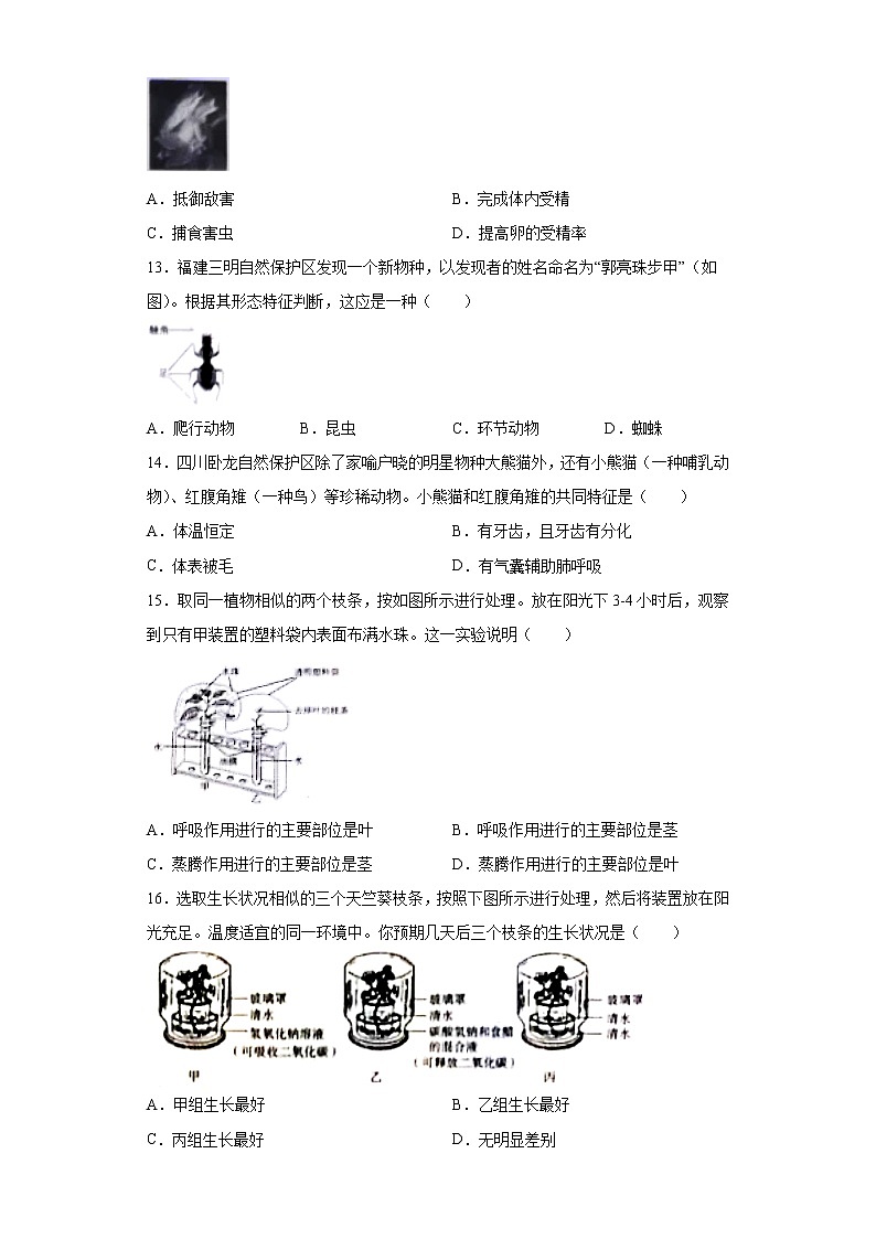 山西省晋中市2021年中考生物试题真题及答案（word版）03