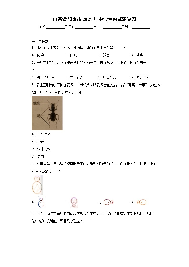 山西省阳泉市2021年中考生物试题真题及答案（word版）01