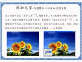 第七课 画龙点睛——文本编辑 课件（11张ppt）