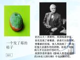任务三 实现信息的价值 课件