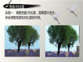 2021人教版八年级上册 《调整图像色彩》课件