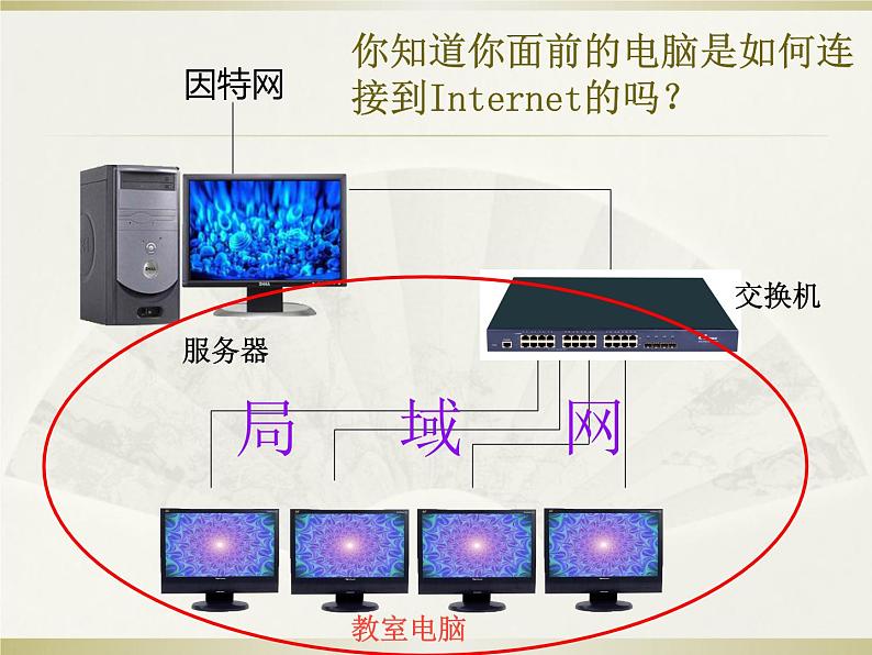 搜索网络信息PPT课件免费下载02