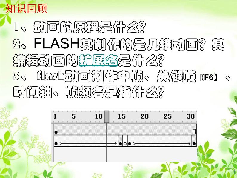 第二课 走进flash 课件 (3)第2页