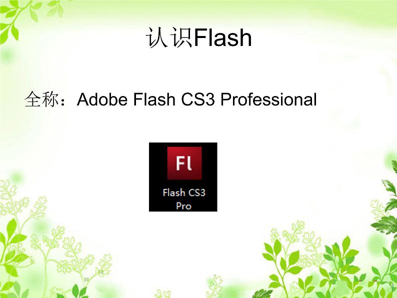 第二课 走进flash 课件 (3)第4页