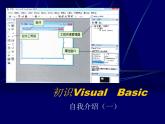 浙教版信息技术九年级全册 第三课 初识Visual Basic 课件 教案