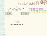 浙教版信息技术九年级全册 第六课 分支结构 课件 (2)