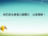 第一单元第1课 认识photoshop 课件 2020-2021学年人教版初中信息技术七年级下册（共20页）