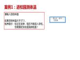 5第五课 分支结构自由练习课件PPT