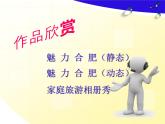 科学版七下信息技术 3.4动态效果添精彩 课件